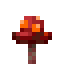 Crimson Fungus image