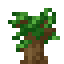 Dark Oak Sapling image