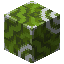 Green Glazed Terracotta image