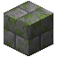 Infested Mossy Stone Bricks image