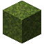 Moss Block image