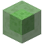 Slime Block image