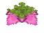 Spore Blossom image